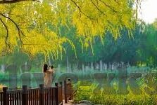 即球探比分足球比分-探秘球探比分,足球世界的数字密码与战术罗盘