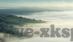 猎豹足球比分-猎豹足球比分，足球迷的实时数据利器，让观赛体验升级