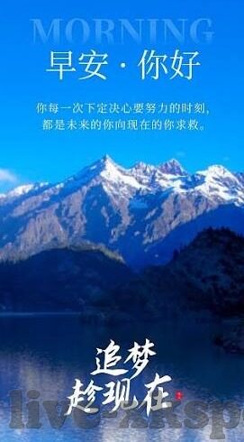 球探比分 即时足球比分-球探比分，即时足球比分的实时追踪与深度解析