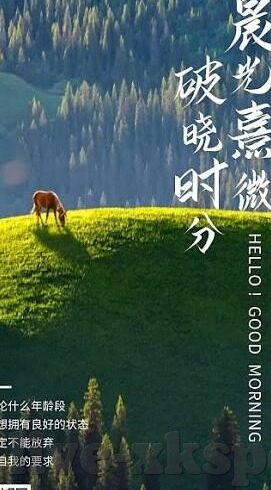 足球比分要怕-足球比分要怕？别让数字蒙蔽了绿茵场的热血与智慧