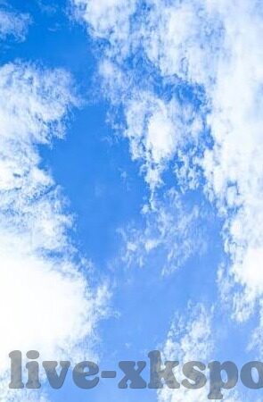 足球比分中超-中超风云,比分背后的激情与变革