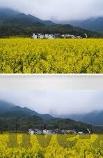 足球竟猜比分直-探秘足球竞猜比分直，激情与智慧的交织之旅